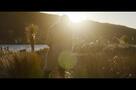 Coming Home in the Dark - Trailer