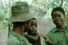 Concerning Violence 04