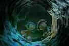 Coraline