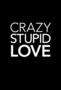 Crazy Stupid Love Plakat
