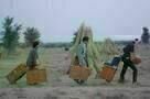 Darjeeling Limited