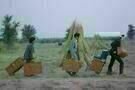 Darjeeling Limited