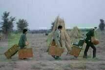 Darjeeling Limited
