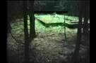 Dark Lullabies12