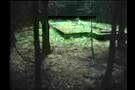 Dark Lullabies12