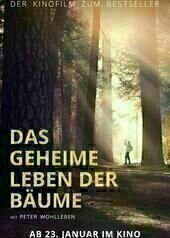 Das geheime Leben der Bäume