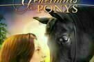 Das Geheimnis des Ponys - Plakat