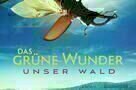 Das Gruene Wunder Unser Wald - Plakat
