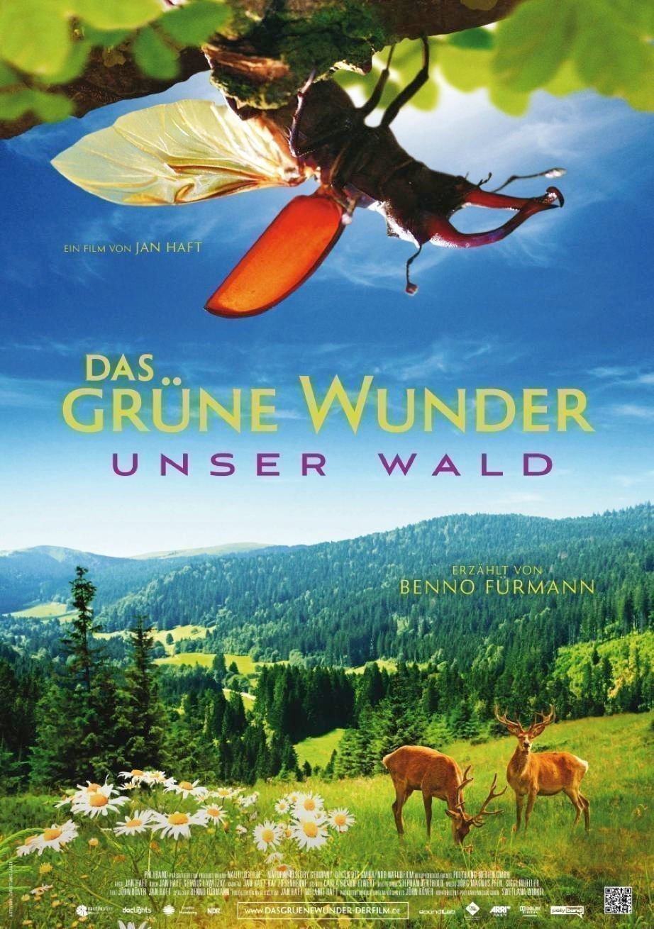 Das Gruene Wunder Unser Wald - Plakat