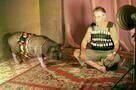 Das Schwein von Gaza 3