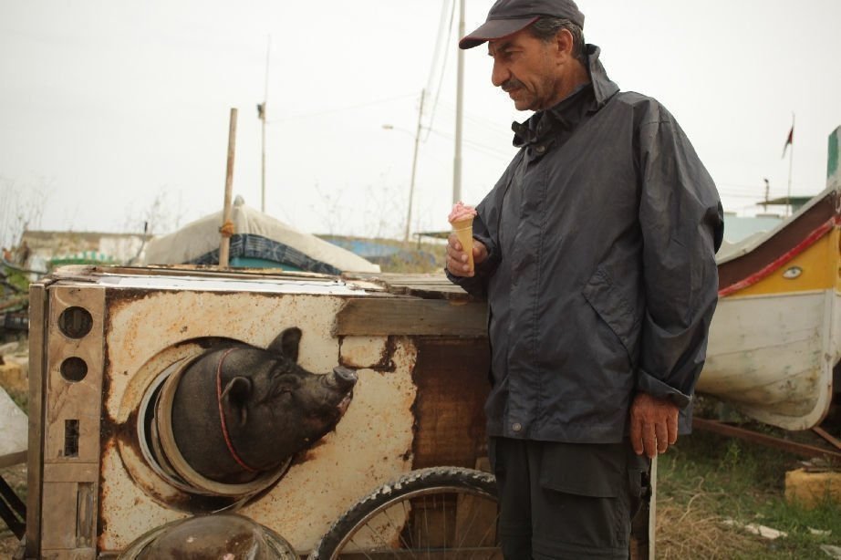 Das Schwein von Gaza 4
