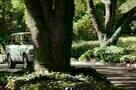Das Schwiegermonster - Trailer