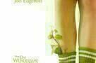 Das wundersame Leben von Timothy Green - Plakat