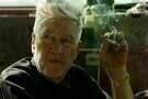 David Lynch The Art Life 2