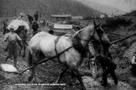 Dawson City: Frozen Time - Trailer