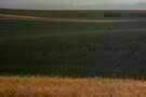 Days of Heaven 06