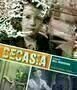 Decasia - Poster
