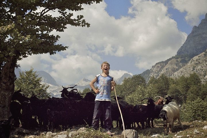 Der Albaner 04 Der Albaner 04