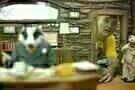 Der fantastische Mr. Fox