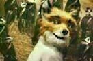 Der fantastische Mr. Fox
