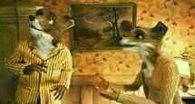 Der fantastische Mr. Fox