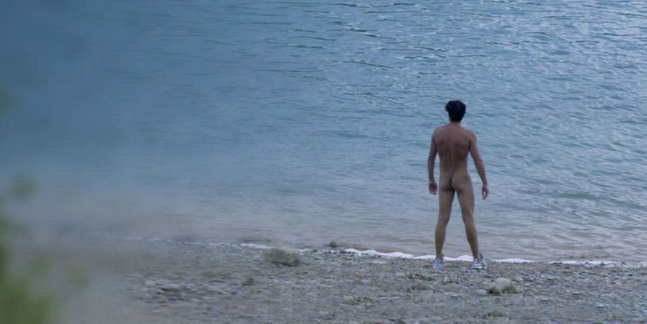 Der Fremde am See Feautre