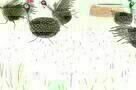 Der Junge und die Welt - Trailer