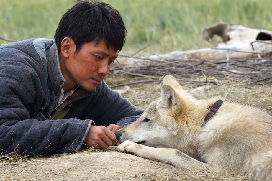 Der letzte Wolf 01