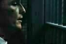 Der Mandant