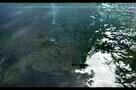 Der Perlmuttknopf - Ausschnitt 1