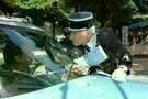 Der rosarote Panther 2