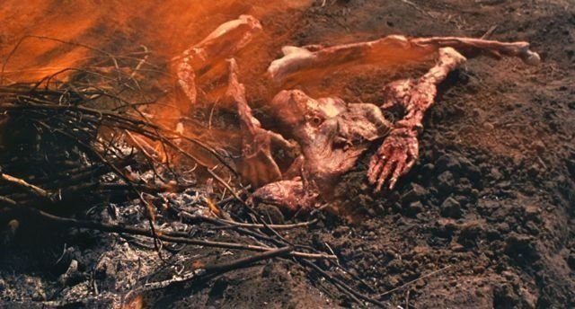 Der Schweinestall 9