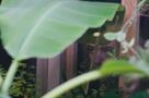 Der Wald in mir - Trailer