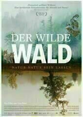 Der wilde Wald - Natur Natur sein lassen