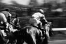 Derby Fever USA 01