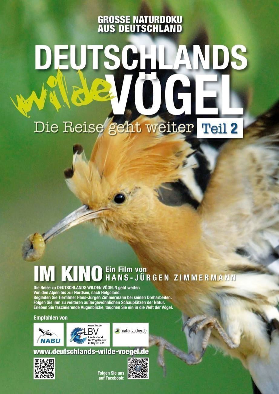Deutschlands wilde Voegel Teil 2 - Plakat