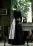 Diary of a Chambermaid