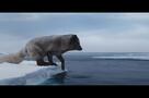 Die Abenteuer von Kina & Yuk - Trailer