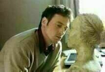 Die Brautjungfer Die Brautjungfer