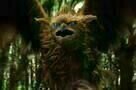 Die Bruecke nach Terabithia 3