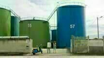 Die Fee 5