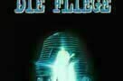 Die Fliege 9