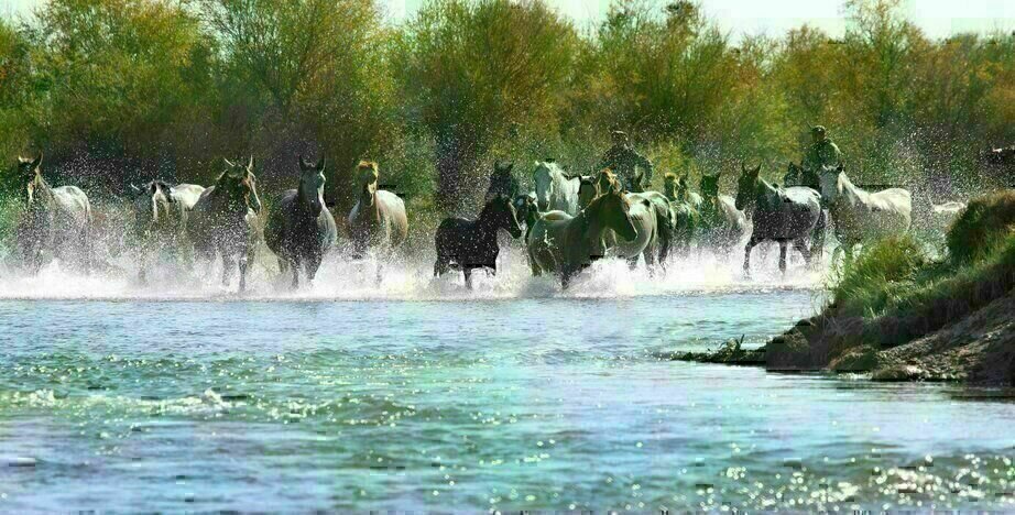 Die Fluegel der Menschen 2