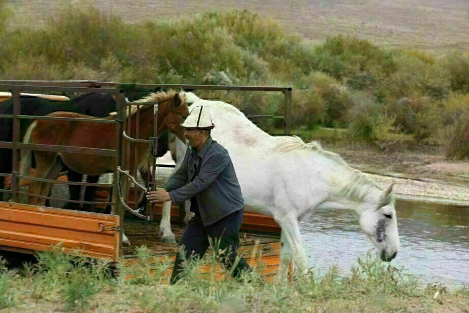 Die Fluegel der Menschen 5 Die Fluegel der Menschen 5