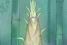 Die Legende von Prinzessin Kaguya 05