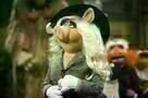 Die Muppets 13