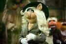 Die Muppets 13
