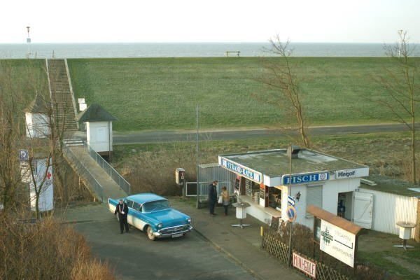 Die Schimmelreiter