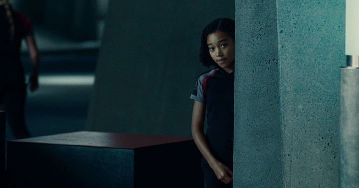 Die Tribute von Panem 10