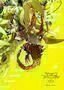 Digimon Adventure Tri. 3 Confession - Poster